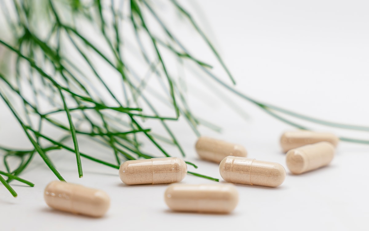 Zinc and testosterone
